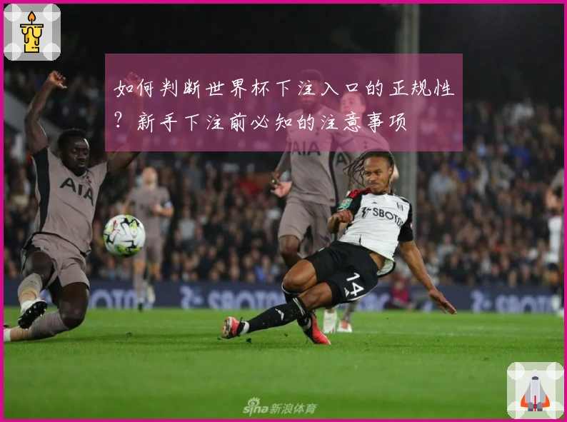 如何判断世界杯下注入口的正规性？新手下注前必知的注意事项