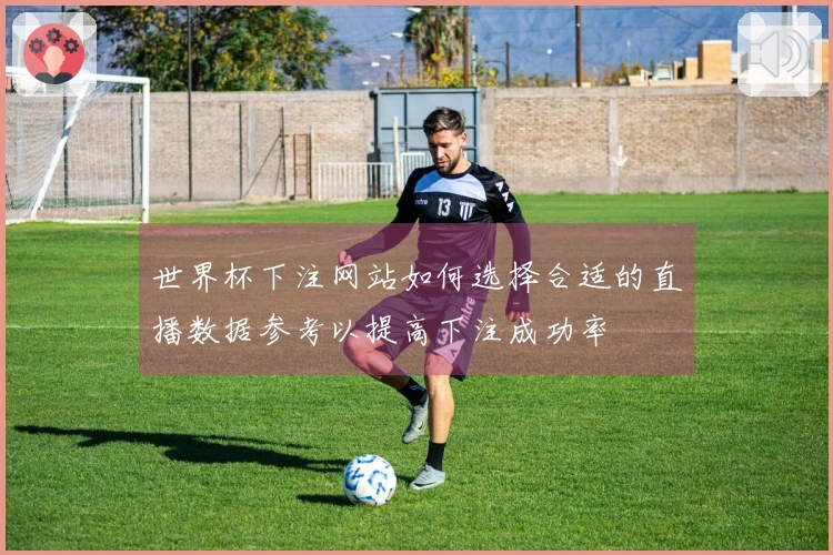 世界杯下注网站如何选择合适的直播数据参考以提高下注成功率
