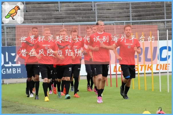 世界杯买球时如何识别海外平台的潜在风险与陷阱